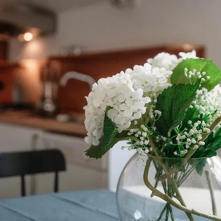 I D'a Charming Penthouse - View- Como- House-130 Mt-2 Double Bedrooms And 2 Double Bathrooms A Spacious Living Room-full Equipped Kitchen-private Garden And Terrace-private Covered Parking Como